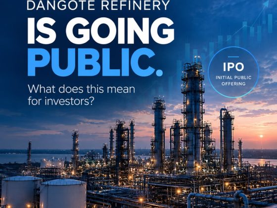 Dangote Refinery IPO; What Investors Should Consider Before Buying the Shares